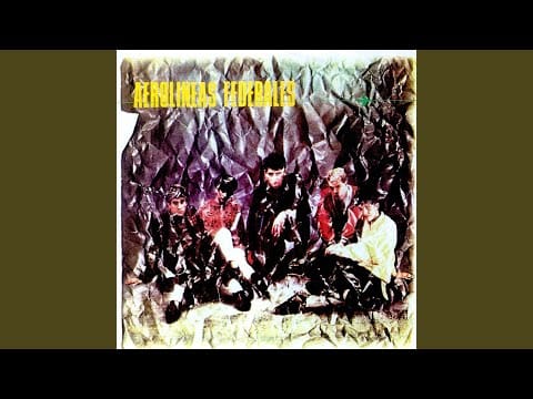 Aerolíneas Federales — Soy una punk