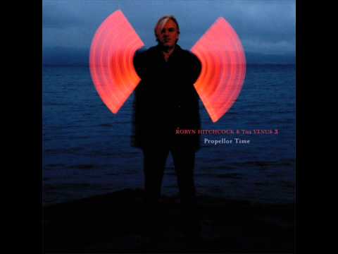 Robyn Hitchcock & The Venus 3 — Robyn Hitchcock - Propellor time
