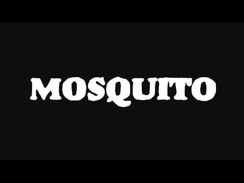Opus Kink — Mosquito