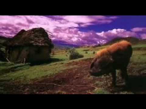 Fury in the Slaughterhouse — Fury in the Slaughterhouse - As time goes by