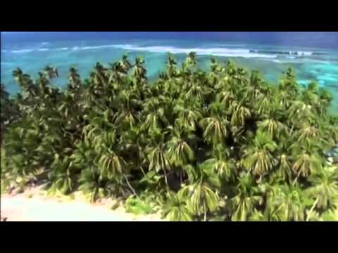 Angelo Badalamenti — The Beach movie soundtrack