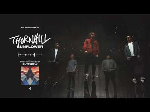 Thornhill — Thornhill - Sunflower
