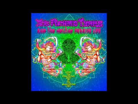 Acid Mothers Temple & The Melting Paraiso UFO — Acid Mothers Temple - Either The Fragmented Body Or The Reconstituted Soul  (reissue LP 2019)