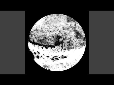 Abdulla Rashim — Alem Maya 2