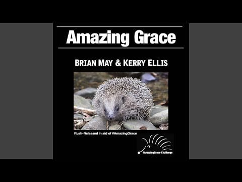 Brian May — Amazing Grace