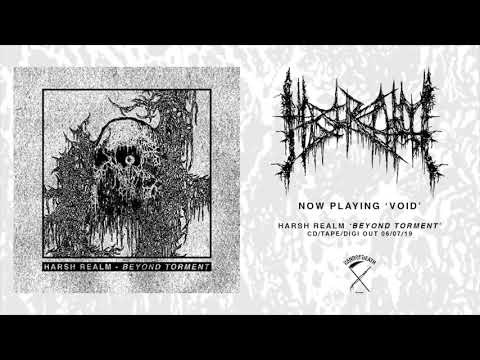 Harsh Realm (4) — HARSH REALM - Void ('Beyond Torment' EP - 2019)
