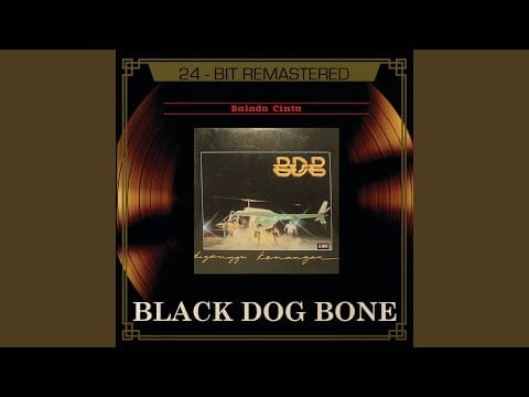 Black Dog Bone (2) — Hatiku Luka Lagi