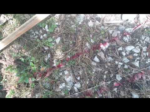 The Foundations — building a house in Jamaica *the foundation digging*