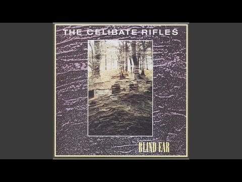 The Celibate Rifles — Wonderful Life '88