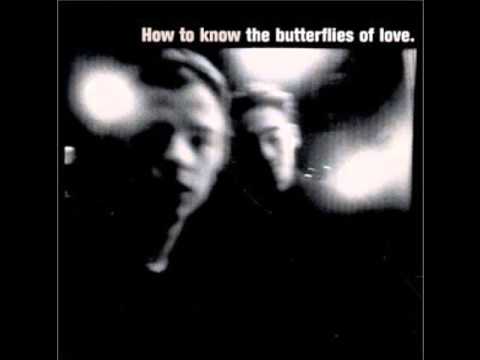 The Butterflies Of Love — The Butterflies of Love - Rob a Bank