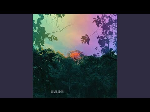 Kosmo Sound — Electric Spider
