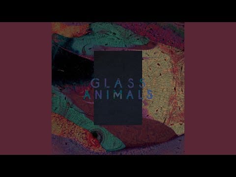 Glass Animals — Black Mambo