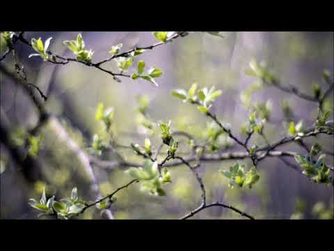 Leon Vynehall — Pavilion - Happy Track