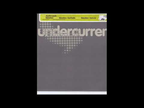 Austin Leeds — Austin Leeds - Elevation-Synthetic [2001]