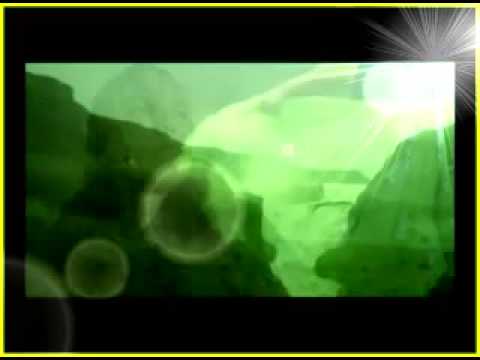 Nicole Jackson — First Time I Ever Saw Your Face