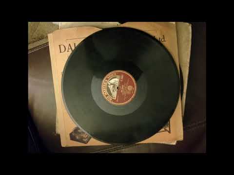 Prince's Orchestra — Prince's orch - Happy days in Dixie (Columbia A2900) (1919)