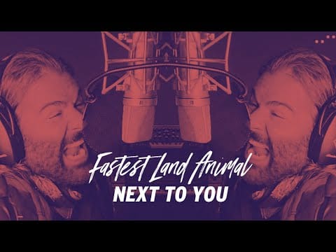 Fastest Land Animal — Fastest Land Animal - Next to You (Official Music Video)