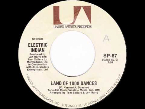 The Electric Indian — Electric Indian - Land Of 1000 Dances