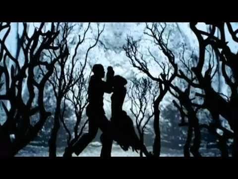 Cheryl Cole — Cheryl Cole's new video for Promise This revealed