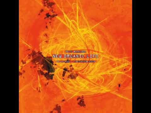 Pete Namlook — Pete Namlook - Namlook XVI - New Organic Life (2001)
