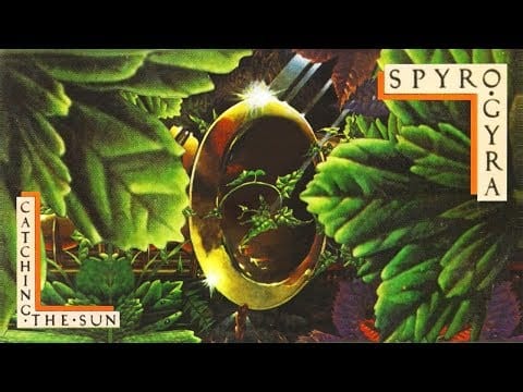 Spyro Gyra — Spyro Gyra - Percolator