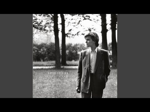 David Sylvian — Pulling Punches