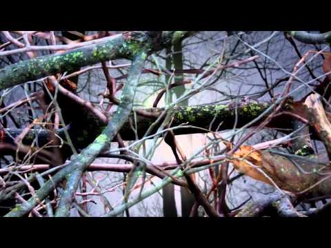 Ian O'Brien — Ian o'Brien - Vagalume (PFG009LP)