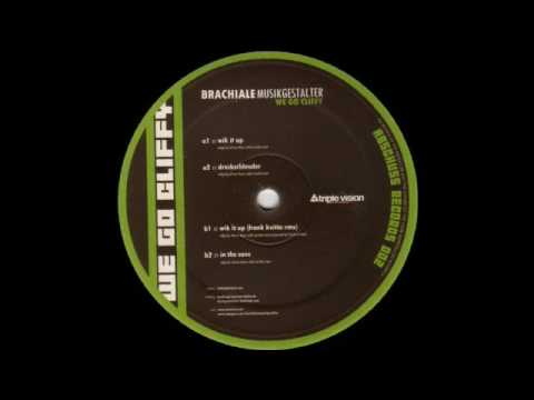 Brachiale Musikgestalter — BMG aka Brachiale Musikgestalter - In The Cave