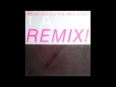 Yazz — YAZZ - GOT TO SHARE (U. S. EXTENDED REMIX) - SIDE B - B-1 - 1989