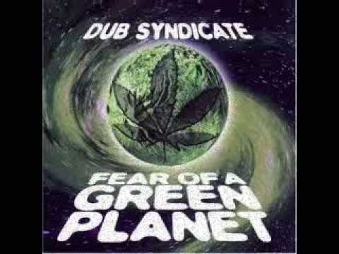 Dub Syndicate — dub syndicate - health food