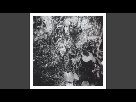 Tim Mislock — A Conception Of Memory