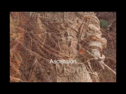 Richard Pinhas — Richard Pinhas Tatsuya Yoshida "Ascension" digest