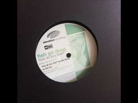 Fish Go Deep — Fish Go Deep  -  How Do You Feel? (Aruba Remix)