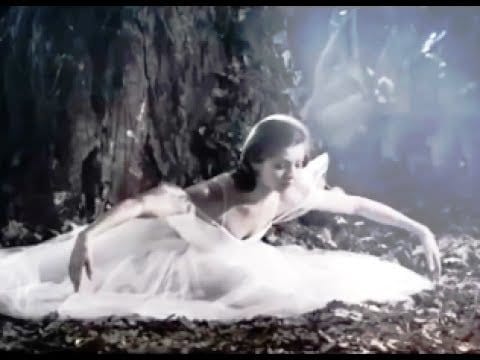 Fausto Papetti — fausto papetti – broken promises