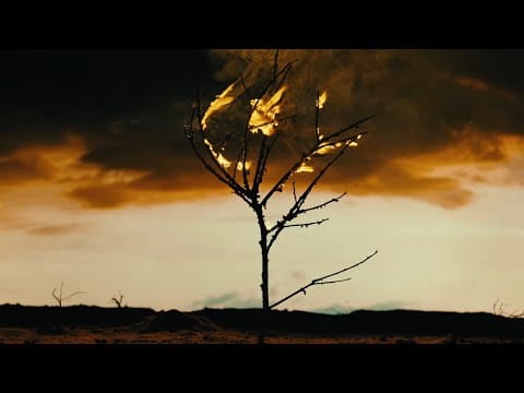 JJ Grey & Mofro — JJ Grey & Mofro - Olustee (Official Lyric Video)