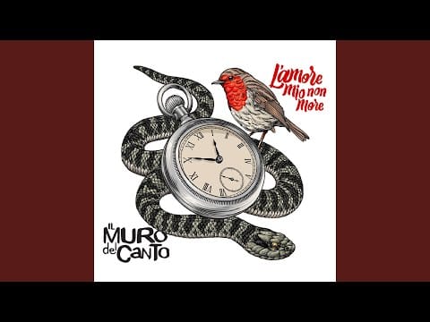 Il Muro Del Canto — Domani