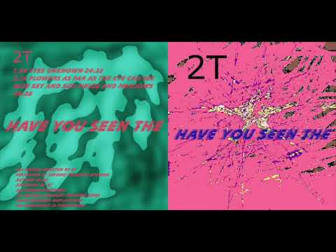 2T — 2T – Have You Seen The (2002, Second Thought, noise, experimental, minimal)
