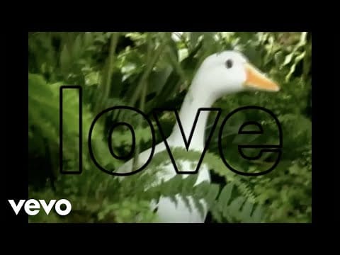 Kevin Krauter — Kevin Krauter - Keep Falling In Love (Official Video)