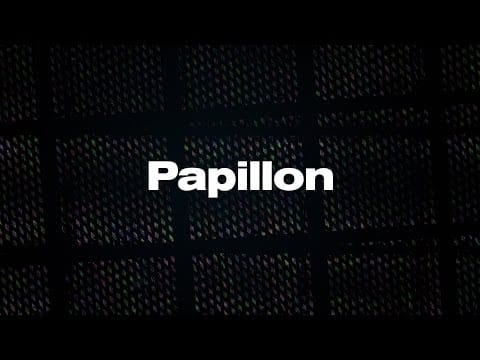 Reimut van Bonn — Van Bonn - Papillon - Van Bonn Records 05