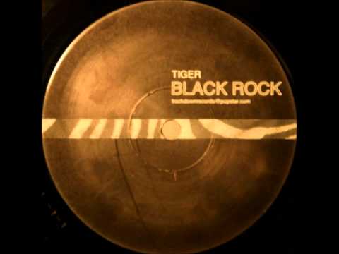 Tiger (2) — tiger - black rock