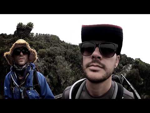 The Parlotones — We were just having fun - The Parlotones