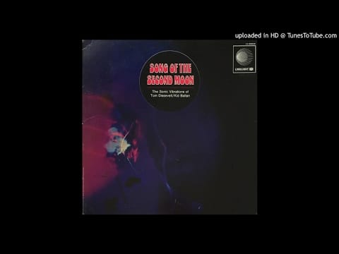 Jon Savage — Tom Dissevelt: 2. Moon Maid [Stereo]