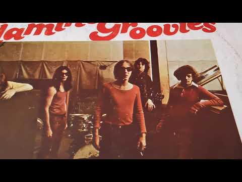 The Flamin' Groovies — Flamin Groovies 🇺🇲 (RIP Roy Loney 🙏) - Teenage Head 1971 - Vinyl Still Shakin LP  1978