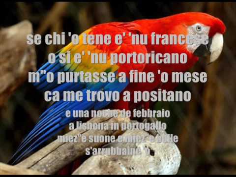 The Cocorito Tropical Band — Cocorito - Renzo Arbore By Kekko F.