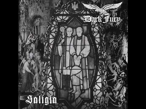 Dark Fury — Dark Fury - Saligia (2010)