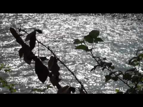 Denis Morin — Denis Morin - Working K - B2 - SB Forgotten Sounds Mix