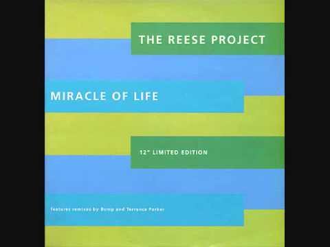 The Reese Project — The Reese Project - Miracle of Life (Terrence Parker 313 Remix)