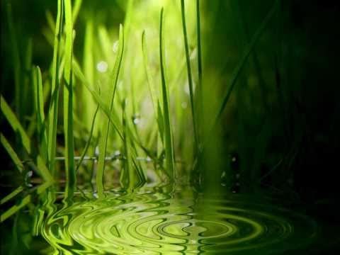 Tor Lundvall — Tor Lundvall - The Backyard (HD)