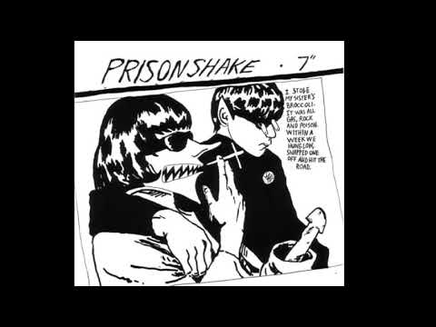 Prisonshake — PRISONSHAKE - THE SPIDER AND THE FLY (radio edit)