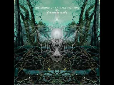 The Sound of Animals Fighting — The Sound of Animals Fighting - The Ocean and the Sun